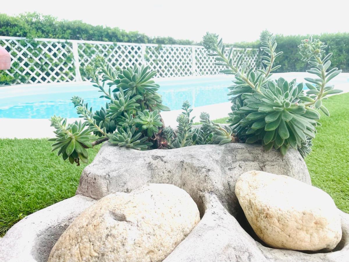Villa Adel سان تيودورو المظهر الخارجي الصورة